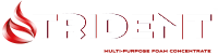 Trident logo